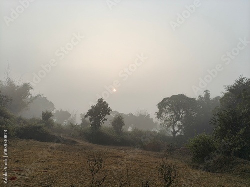 A serene landscape captured in a thick morning mist. In the foreground, green trees and foliage hazy view of distant fields and forests, creating a quiet, atmospheric, and natural scene.