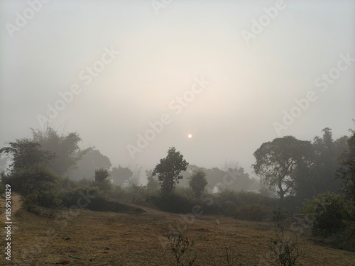 A serene landscape captured in a thick morning mist. In the foreground, green trees and foliage hazy view of distant fields and forests, creating a quiet, atmospheric, and natural scene.