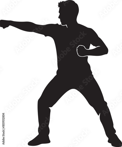 Silhouette of man in dynamic martial arts stance