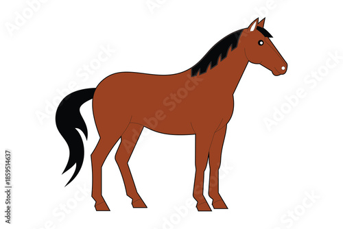 brown horse vector illustration