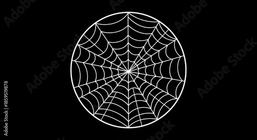 Symmetrical spider web on white background featuring intricate patterns. Outline vector illustration