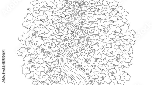 Winding forest path through lush trees in detailed linear style