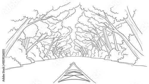 Linear kayaking adventure through serene forest river with lush canopy view