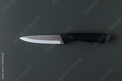 Wallpaper Mural A kitchen knife with a black handle and a metal blade on a gray background. Torontodigital.ca