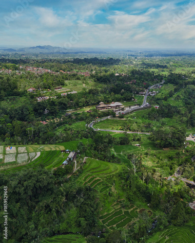 Aerial View Of Terraced Rice Fields Under Clear Blue Sky, Winding Contours Of Emerald Paddies Cascading Down