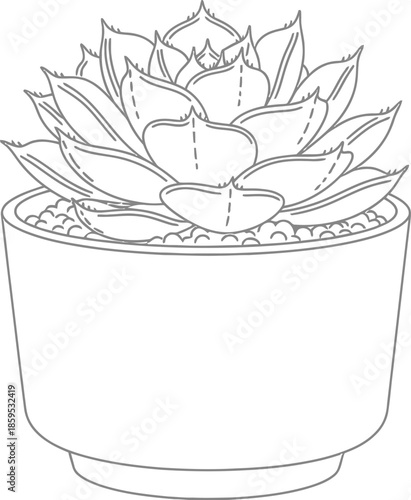 Simple black and white line art drawing of a beautiful succulent plant growing in a small round flower pot