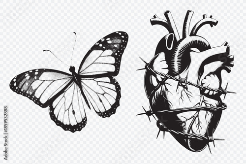 Metamorphosis of the Soul: An artistic black and white illustration portrays the delicate beauty of a butterfly alongside a human heart entangled in barbed wire, symbolizing transformation.