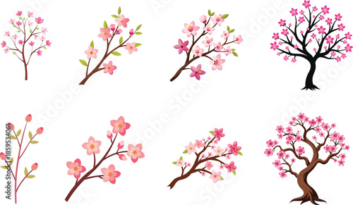 Beautiful pink cherry blossom tree branches with blooming sakura flowers and green leaves represent the grace of Japanese spring nature in a floral vector art design