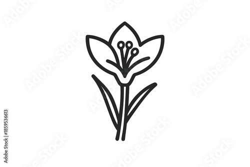 Flower Silhouette on Gradient Background