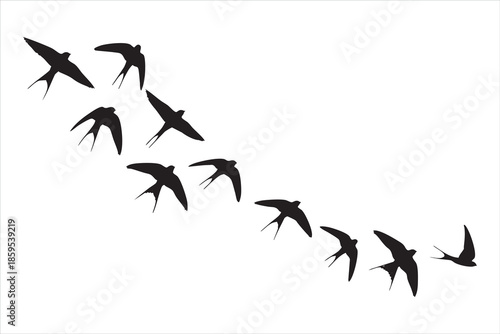 Black silhouette swallows flying in a diagonal formation against a white background bird