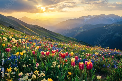 A breathtaking alpine meadow bursts with vibrant wildflowers under a glorious sunset with distant snow capped peaks in