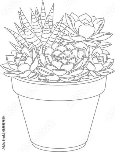 Simple black and white line art drawing of a succulent plant arrangement in a terracotta pot
