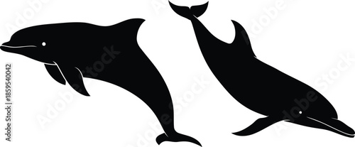 Black Dolphins Swimming on White Background