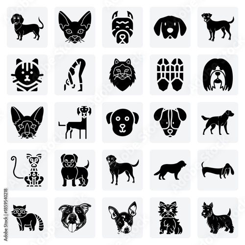 A Variety Of Purebred Cat Breeds – Devon Rex, Sacred Birman, And Tonkanese For Feline-Themed Designs And Pet Businesses.