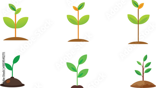 Would you like me to generate a set of keywords based on this description for your stock photo metadata?