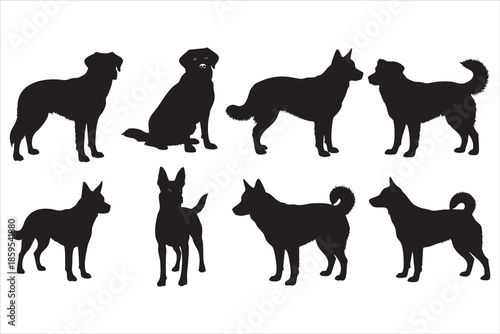 Seven black silhouette dogs in various poses on white background 1