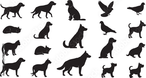 Diverse Silhouettes of Domesticated Animals, Showcasing a Variety of Dogs, Cats, and Birds, Representing Their Unique Shapes and Poses, Creating a striking visual of pet life.
