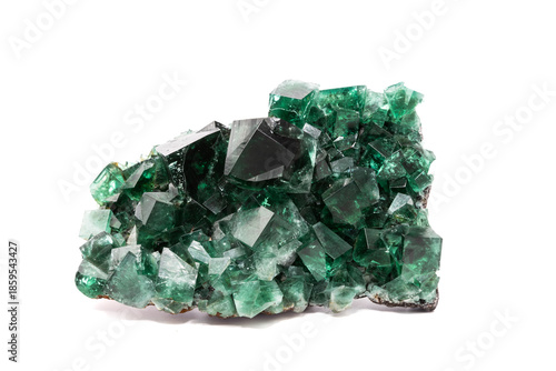 Green fluorite specimen, studio photograph