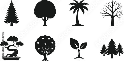 Tree silhouette icon set illustration, forest and nature symbols collection, pine palm deciduous trees, ecology landscape elements, botanical design, black shapes, flat vector