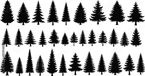 Assortment of Black Silhouette Pine Trees in Various Sizes and Shapes Keywords: pine tree, fir tree, conifer, evergreen, tree