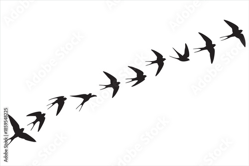 Silhouettes of twelve black birds flying in a diagonal formation against a white background
