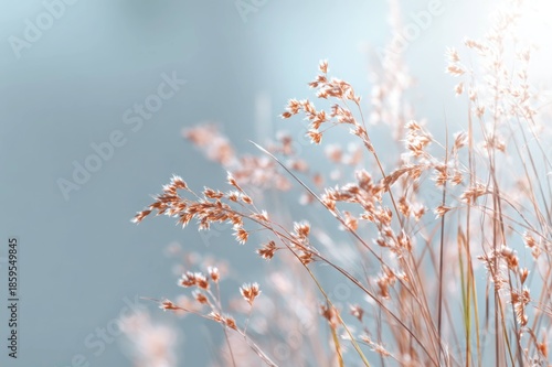 Fresh Spring Greenery with Warm Light Effect