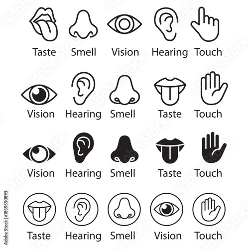 Illustrations of the five senses taste smell vision hearing and touch