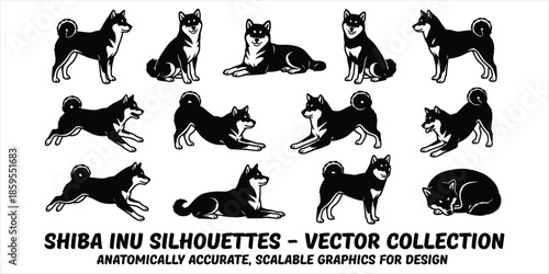 Shiba Inu Dog Silhouettes In Various Poses Vector Collection puppy canine