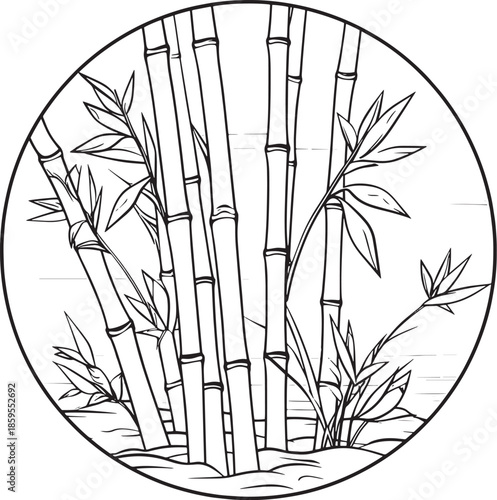 bamboo vector illustration