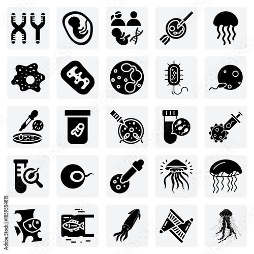 Embryonic Development And Genetic Inheritance – From Chromosomes And Heredity To In Vitro Fertilisation Technology