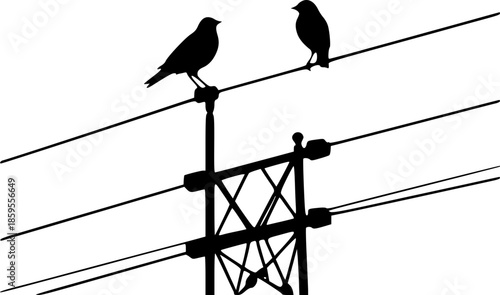 Birds Resting on Power Lines Minimal City Landscape