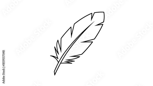 Stylized Outline Drawing of a Feather, isolated white background