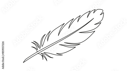 Artistic outline icon of a feather symbolizing writing, lightness, or creativity, isolated white background