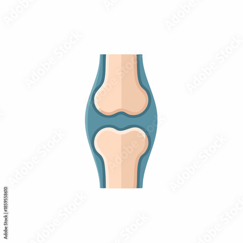 Joint Illustration Anatomy Healthcare Concept Knee Diagram Human Bone Medical Graphics