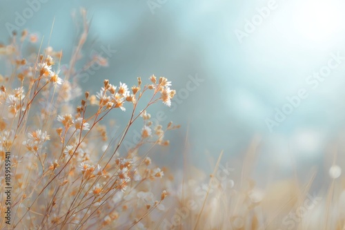 Minimal Nature Background with Soft Golden Light