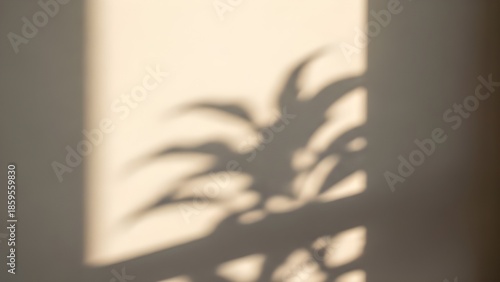 Sunlit palm shadow on wall isolated on transparent background, isolated on white background