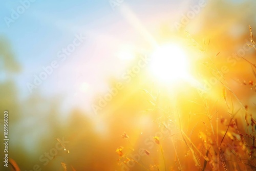 Golden Morning Light Over Fresh Nature Scene