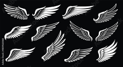 Detailed sketches of various bird or angel wings in different positions and styles are shown against a solid black background.