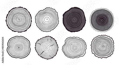 Selection of eight different wood log cross sections showing detailed tree rings and bark textures for a natural and rustic aesthetic.