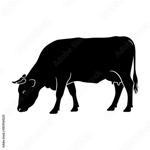 Black Silhouette Cow Grazing peacefully in a field on a white background, clean vector.