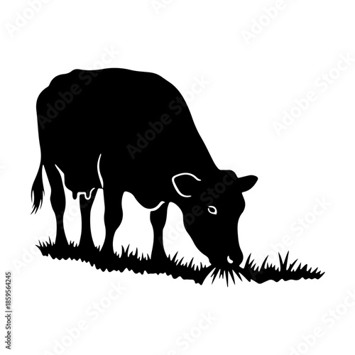 Black silhouette of a cow grazing on green grass in a meadow, isolated on white.