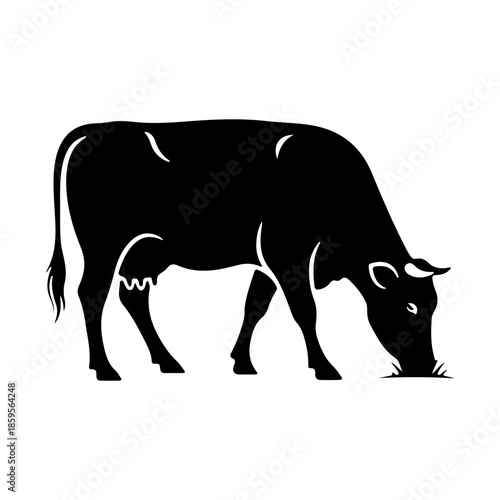 Silhouette of a Black Cow Grazing in a Field on a White Background