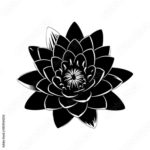 Black and White Lily Flower Illustration, Elegant Botanical Art, Artistic Floral Design