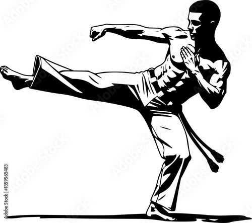 Dynamic monochrome depiction of a capoeira stance with striking
