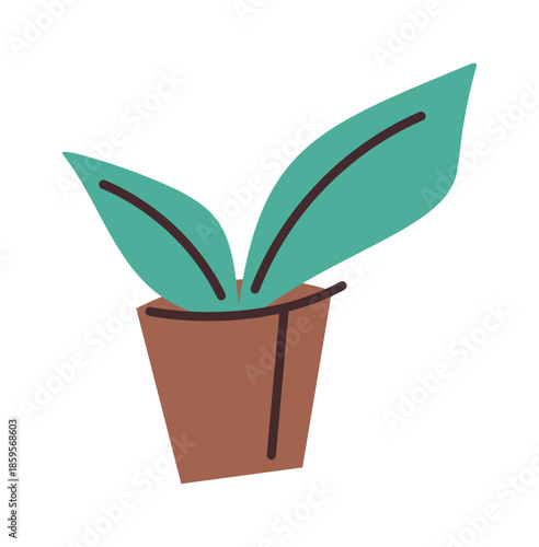 Flower pot for interior design