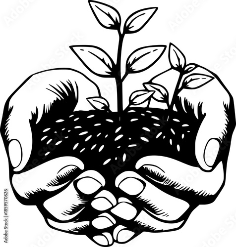 Plant Seedling in Hands Eco Friendly Growth Concept