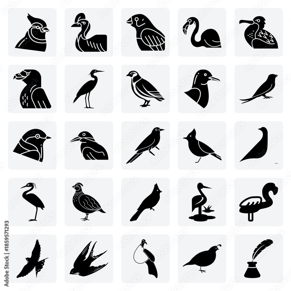 Obraz premium Illustrations Of Wild Birds – Featuring Birds Of Prey, Seabirds, And Songbirds For Environmental And Zoological Designs.