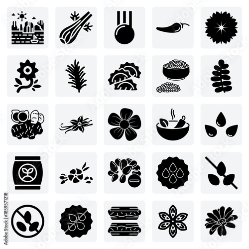 Natural Herbs And Plant-Based Flavorings – Rosemary, Fennel, Rose Hip, And Celery For Healthy And Organic Food Concepts