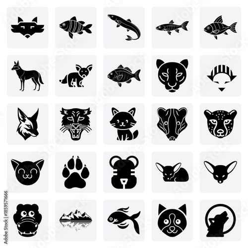 Exotic Freshwater And Aquarium Fish Species – Banded Rainbowfish, Bichir, And Emperor Tetra For Aquatic Themed Projects And Pet Stores.