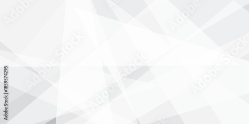 Abstract background with white and gray and geometric style with simple lines and corners, polygons as background geometric style with simple lines and corners, polygons as background paper texture